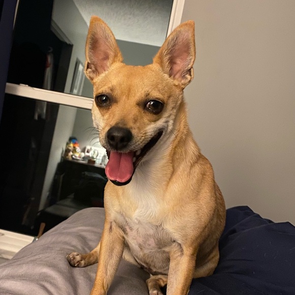 Meet your Posher, Courtney - Picture 1 of 1